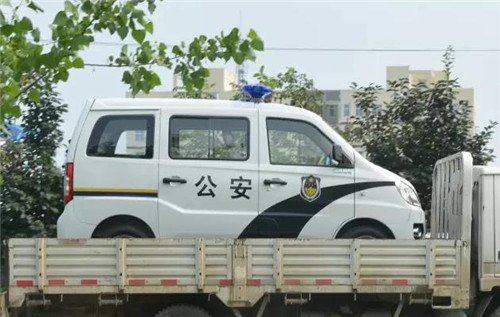 电动巡逻车价格