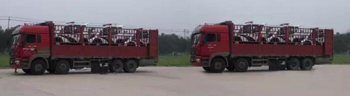 沐鸣2移动城管执法站、沐鸣2电动巡逻车大批量发往首都北京——有沐鸣2，才安心