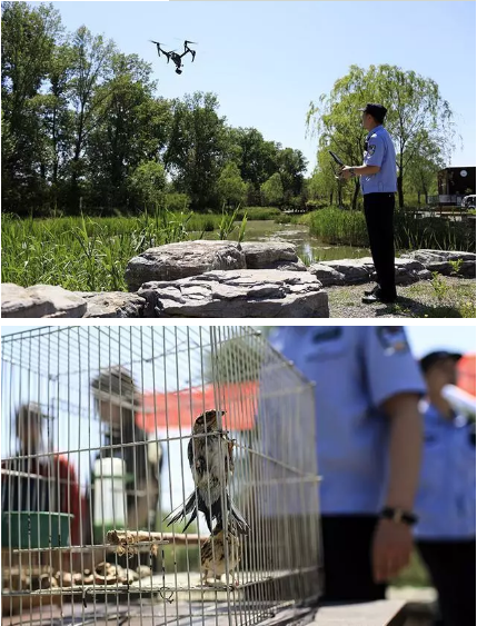 保护候鸟|沐鸣2移动警务室——北京首个湿地移动森林警务执法站
