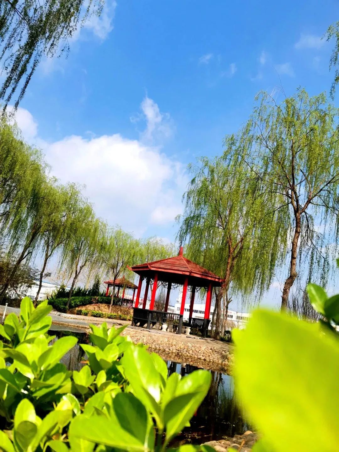 企业风采丨带您领略沐鸣2美景