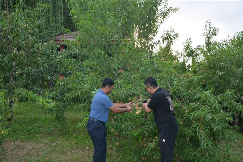 一路一带丨印度客商到沐鸣2集团参观洽谈合作